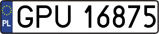 GPU16875