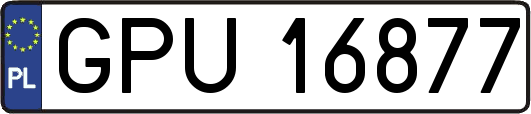 GPU16877