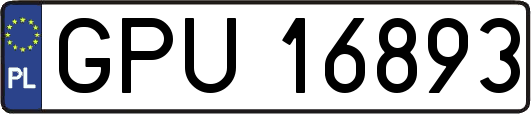 GPU16893