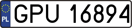 GPU16894