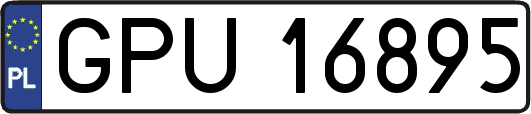 GPU16895