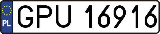 GPU16916