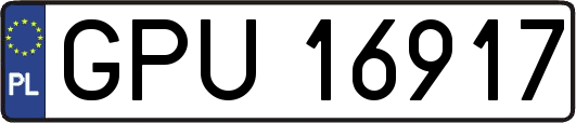GPU16917