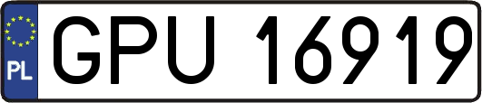GPU16919