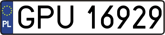 GPU16929
