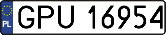 GPU16954
