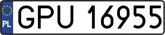 GPU16955