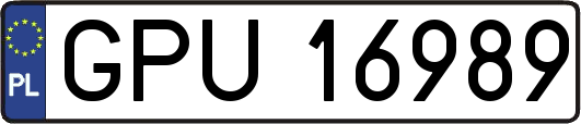 GPU16989