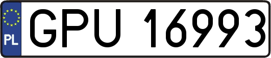GPU16993
