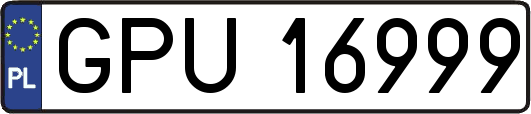GPU16999