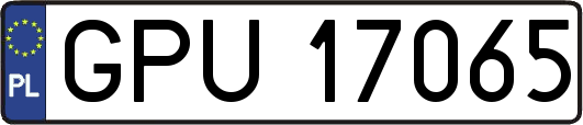 GPU17065
