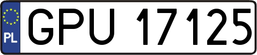 GPU17125