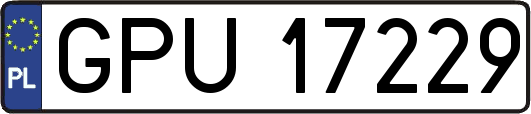 GPU17229