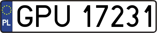 GPU17231