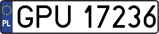 GPU17236