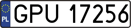 GPU17256