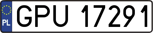 GPU17291