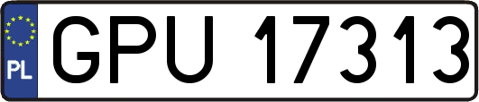 GPU17313
