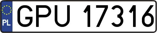 GPU17316