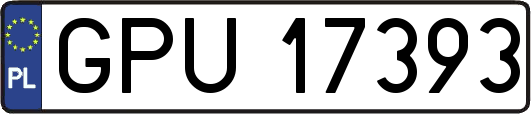 GPU17393