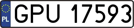GPU17593