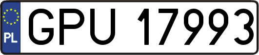 GPU17993