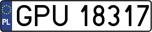 GPU18317