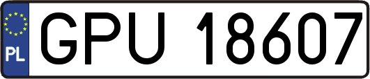 GPU18607