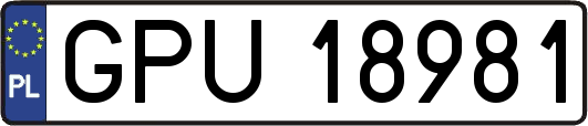 GPU18981