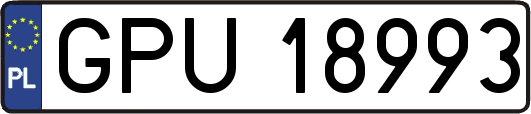 GPU18993