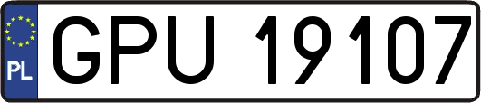 GPU19107