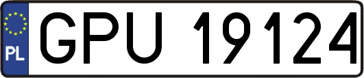 GPU19124