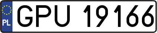 GPU19166