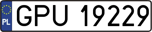 GPU19229