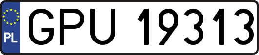 GPU19313