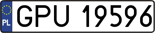 GPU19596
