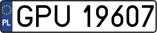 GPU19607
