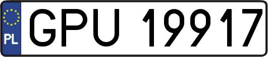 GPU19917