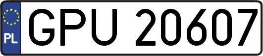 GPU20607