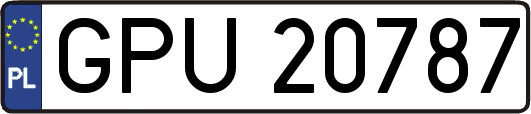 GPU20787