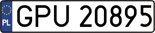 GPU20895