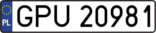 GPU20981