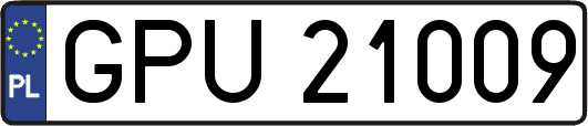 GPU21009