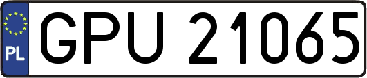 GPU21065