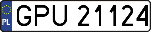 GPU21124