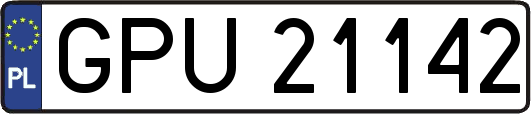 GPU21142