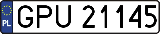 GPU21145