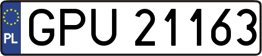 GPU21163