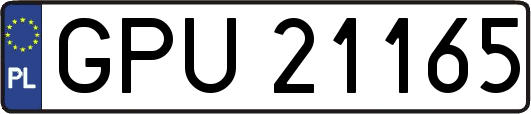 GPU21165