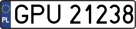 GPU21238